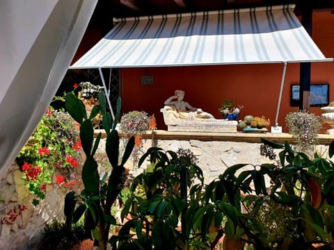 Garden view