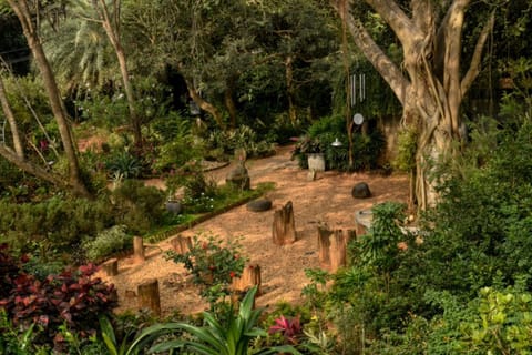 Day, Natural landscape, Garden, Garden, Garden view