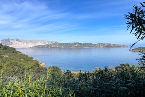 Garden view, Sea view
