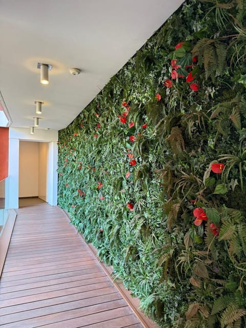 Maison Marquet Apartment in Cap-d'Ail