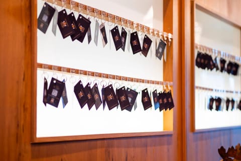 Olympic regina hotel Hotel in Pinzolo