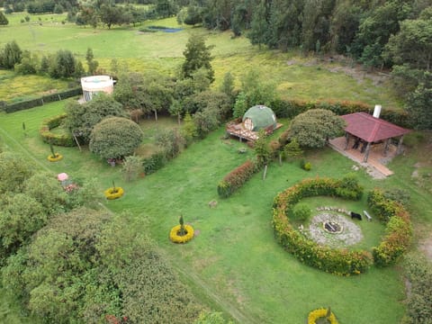 Day, Bird's eye view, Garden