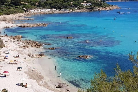 Natural landscape, Beach, Hiking