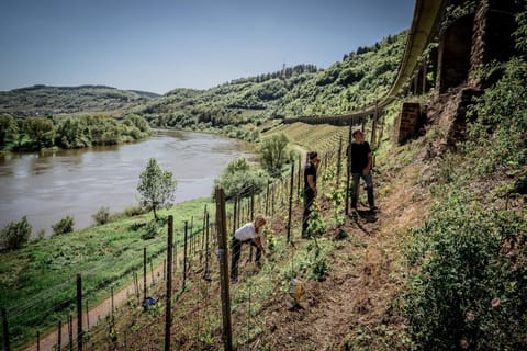 Gästehaus Simonis Apartment in Cochem-Zell