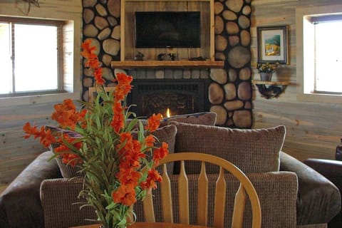 Mountain View Cabin Cabin in South Fork