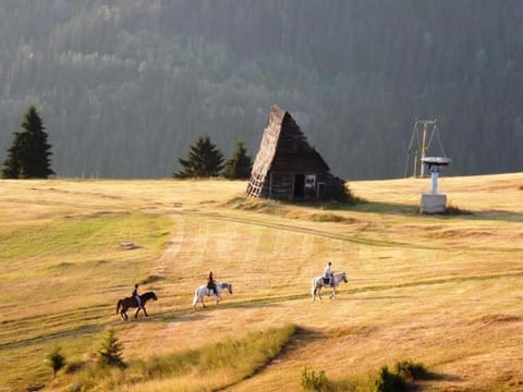 Apartman SARA Babanovac Vlašić Apartment in Federation of Bosnia and Herzegovina