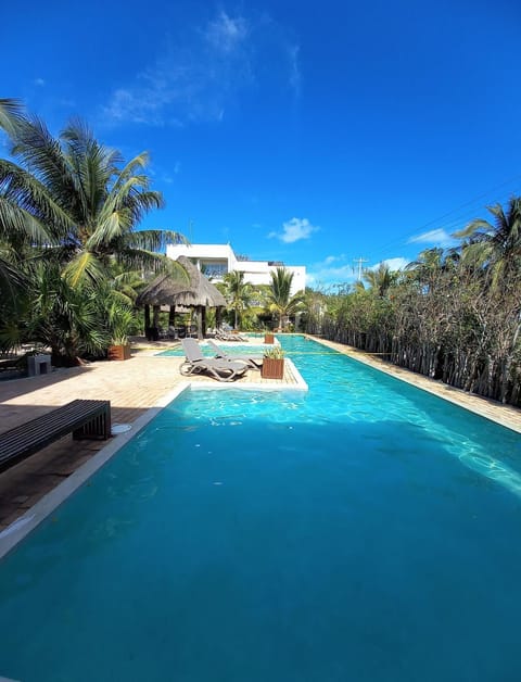 Natural landscape, Garden, Swimming pool, sunbed