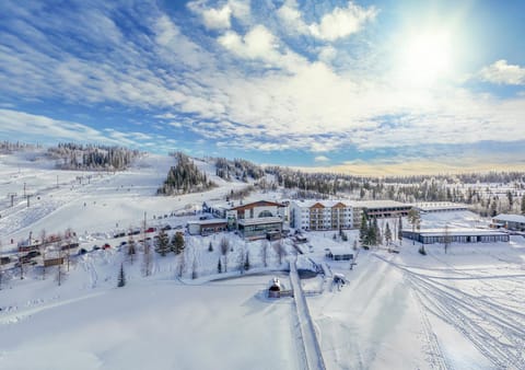 Property building, Natural landscape, Winter