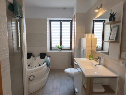 Chez Aurel & Manu Apartment in Vosges