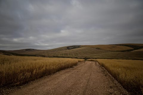 Natural landscape, View (from property/room)