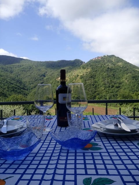 Mountain view