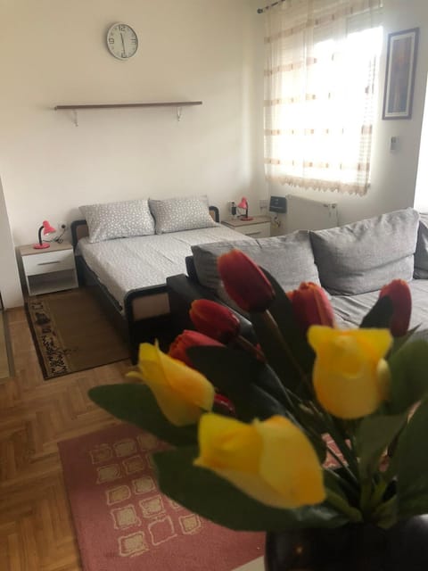 Tulipan Apartment in Vojvodina