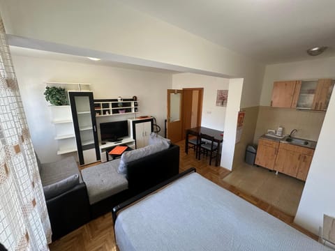 Tulipan Apartment in Vojvodina