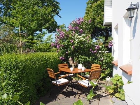 Lieblingsplatz im Reethus Apartment in Mecklenburg-Vorpommern, Germany