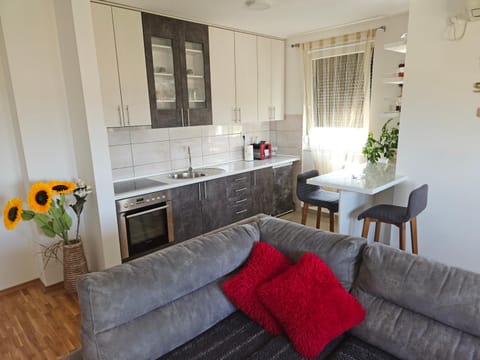 Apartment M&G Lux Apartment in Vojvodina