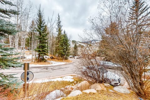 Beaver Creeks Meadows House in Beaver Creek