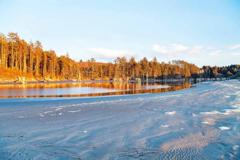 Heron Condo House in Moclips