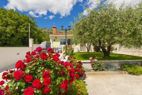 Property building, Facade/entrance, Garden