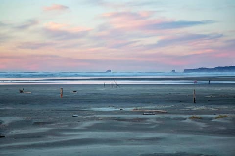 Pelican Condo House in Moclips