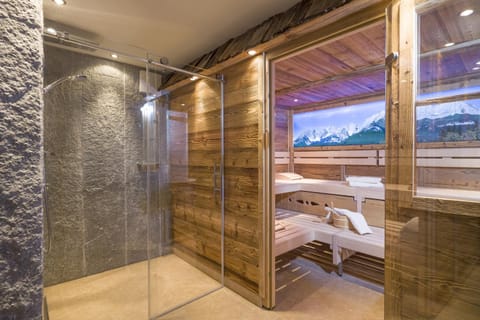 Sauna, Steam room, Spa and wellness centre/facilities, Internal: Not applicable to any particular room