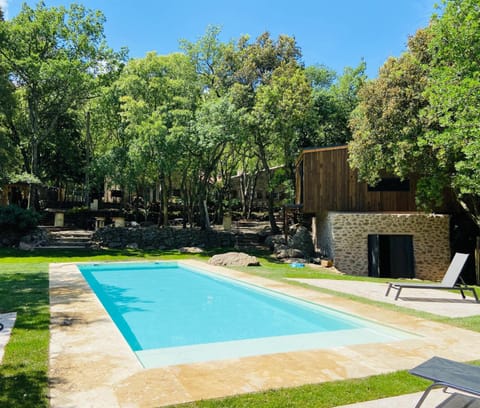 Day, Natural landscape, Garden, Pool view, Swimming pool, sunbed