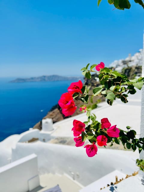 Day, Balcony/Terrace