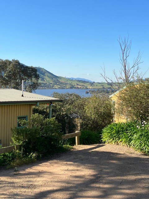 Lake view