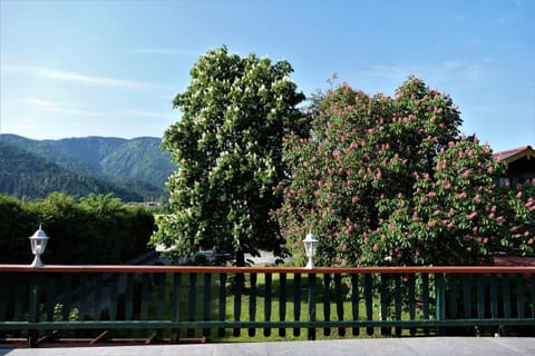 Landhaus Sonnenblick Apartment in Salzburgerland