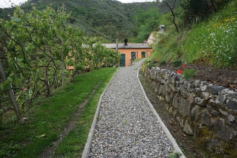 Agriturismo U muinettu Farm Stay in Levanto