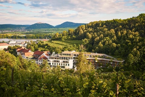 Bird's eye view, Garden, View (from property/room), Hiking, City view, Landmark view