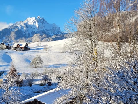 Villa Castagna Guesthouse Bed and Breakfast in Nidwalden