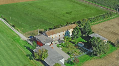 Spring, Day, Bird's eye view, On site, Garden view