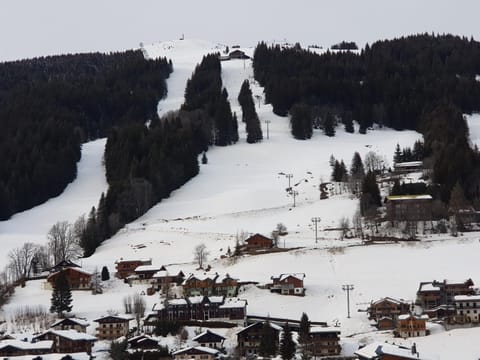 B&B La Seigneurie Bed and Breakfast in Les Gets