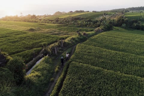 Nearby landmark, Spring, Day, Natural landscape, Bird's eye view