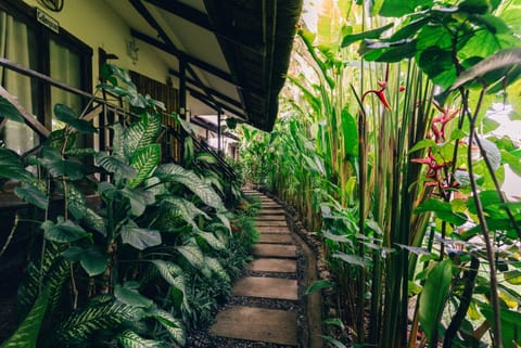 Garden view