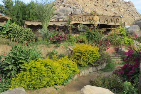 Spring, Natural landscape, Garden view