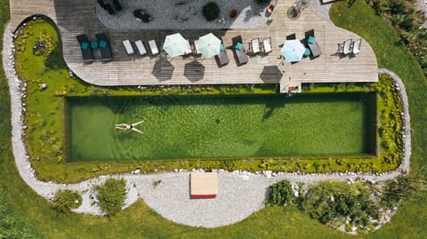 Bird's eye view, Garden, Sauna, Spa and wellness centre/facilities, Garden view, Pool view, Swimming pool, Public Bath, sunbed