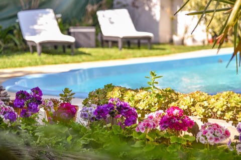 Garden, Balcony/Terrace, Swimming pool