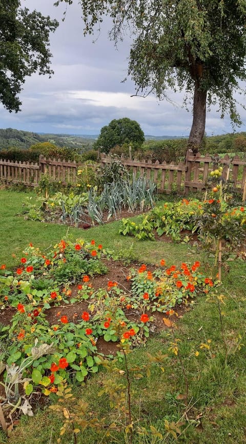 Aux Capucines Bed and Breakfast in Wallonia, Belgium