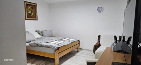 Apartman Branka Apartment in Serbia