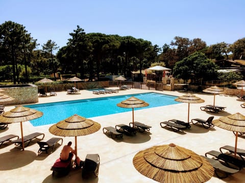 Day, Pool view, Swimming pool, sunbed