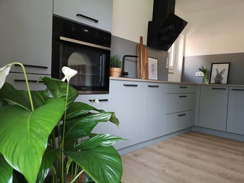 Kitchen or kitchenette, Communal kitchen