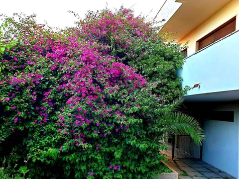 QUIET HOUSE GARDEN NAPLES-POMPEI-SORRENTO House in Campania