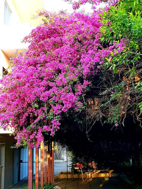 QUIET HOUSE GARDEN NAPLES-POMPEI-SORRENTO House in Campania