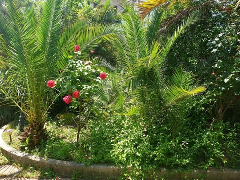 QUIET HOUSE GARDEN NAPLES-POMPEI-SORRENTO House in Campania