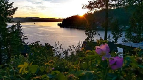 Lake view