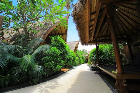 Natural landscape, Garden, Garden view