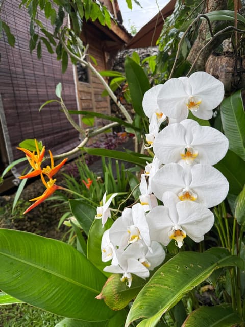 PINOKKIO B&B Restaurant Bed and Breakfast in Kuta Selatan