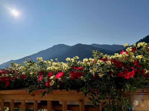 Spring, Day, Natural landscape, Mountain view
