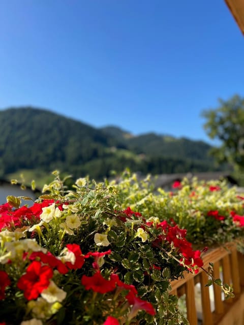 Spring, Day, Natural landscape, Garden view, Mountain view